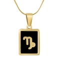 Minimalist 18K gold stainless steel Capricorn zodiac square pendant necklace for women - Capricorn