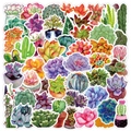 Waterproof watercolor succulent and cactus stickers for scrapbooking and decoration - Succulent Plants - 50PCS