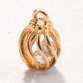 Detailed view of golden hollow birdcage charm with transparent cubic zirconia stone inlay - Style 6-Hollow Birdcage