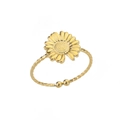 Daisy Style