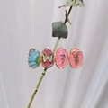 Detalle de horquillas Morandi con flores azules y mariposas en un tallo de planta - Serie Rosa