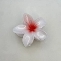 White and red gradient Plumeria hair claw clip with a glossy resin finish for women - 8cm / White (Red Center)