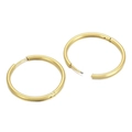 Polished gold stainless steel hoop earrings with functional hinge clasp on white background - 30x2mm / Gold