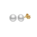 Detailed view of white freshwater pearl earrings with S925 silver gold-plated posts - 5.5-6mm / GPE104-14K 5.5-6mm Simple Pearl Studs / Gold