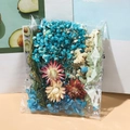 Assorted dried flowers set with blue baby's breath and pink strawflowers in a clear bag - Dried Flowers Bag Blue 14.5g