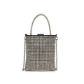 Mini borsa a mano in strass argento scintillante con elegante catena in metallo - Manico in Strass Verticale