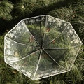 Transparante paraplu met lange steel en witte bloemmotieven op groen gras - Handmatig/8 Baleinen / Transparant Bloemen Wit