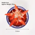 Modelo de plato de gambas artificiales en cuenco de porcelana para escaparates - Camarones Estofados