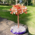 Handmade red and white crystal money tree on purple agate base for home decor - Red Agate