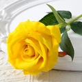 Realistic single stem artificial yellow rose with velvet petals for home wedding decor - 10cm / Large Velvet Yellow