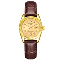 Women's quartz watch with gold steel case, brown leather strap and champagne diamond dial - Brown Strap Gold Case Gold Dial Women's