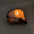 Natural seashell scented candle with brown stripes and warm flickering flame - Black Murex Shell Candle [8-10cm] / Freesia [Bagged]