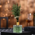 Square glass reed diffuser with green essential oil, black sticks and dried flowers - Hilton Style / 80ml/Green Oil+Green Flower