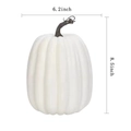 6.2x8.5inch No.1 Large White Pumpkin