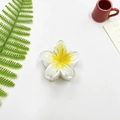 Frangipani hair claw clip with white and yellow gradient resin petals on white background - Small (approx 4cm) / White Yellow