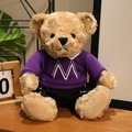 Brown teddy bear plush in purple hoodie with white letter M on wooden table - M Letter Hoodie Set / Purple