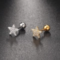 Macro shot of silver and gold star stud earrings with white cubic zirconia and screw backs - Pave Pentagram(S-CC003-9)