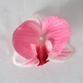 Testa di orchidea phalaenopsis rosa artificiale con petali realistici per artigianato - Pellicola 3D Rosa N. 4 (Piccolo)