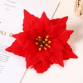 Vibrant red poinsettia flower head with velvet texture for Christmas tree decoration - Pointed Christmas Flower / Red