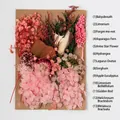 Preserved dried flower DIY kit with 13 varieties including pink and white flowers - Flower Pack A15