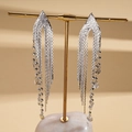 Close-up of silver tassel earrings with metallic mesh fabric and delicate bead details - Silver (Silver Earring Post)