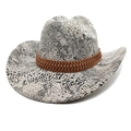 Detail of western cowboy hat featuring gray snake pattern and brown braided headband - M (56-58cm) / Snake Pattern Grey