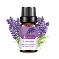 Lavender essential oil in 10ml amber glass bottle with fresh lavender flowers - Lavender (single Ingredient)