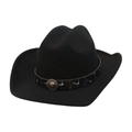 Classic black western cowboy hat featuring a silver lion head emblem and curved wide brim - One Size / Black (Lion Head Emblem)