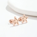 Minimalist hollow star stud earrings in rose gold finish with sleek geometric design - Star Rose Gold
