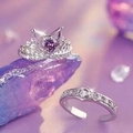 Silver crown ring set with purple stone and adjustable band on purple crystal - A Pair Of Lovebirds Ljz-26 / Adjustable Open