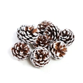 Macro shot of assorted mini natural pine cones with artificial white snow decorative accents - White-tipped Pine Cone-3-4cm