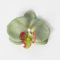 Testa di fiore di orchidea artificiale verde chiaro con dettagli rossi al centro - Seta Verde (Piccolo)