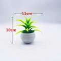 Artificial succulent in white wave pot with 10x11cm dimensions and yellow-green leaves - Small Gladiolus