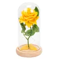 Rosa gialla eterna in cupola di vetro con luci LED e base in legno naturale - Cupola in Acrilico / Giallo