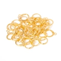 Bulk French lever back ear hooks in bright gold finish for DIY jewelry making - 13x15mm (50Pcs/Bag) / Gold