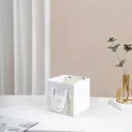 Mini white square gift bag with transparent window and rope handles, size 10x10x10cm - 10x10x10cm White Windowed / White