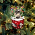 Niedlicher Schnauzer-Hund in einem roten Weihnachtsstrumpf-Ornament mit Geweih - Schnauzer Typ 2