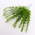 Pure Light Green Single Stem
