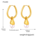 Detail view of 38mm gold hoop earrings with freshwater pearls including dimensions - F1183-Gold Shell Pearl Earrings