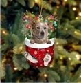Hanging acrylic ornament featuring a dog in a red Christmas stocking with reindeer antlers - 29-Cattle Dog