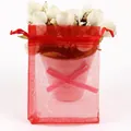 Red organza drawstring gift bag with semi-transparent mesh for jewelry and small favors - Red; 5x7cm
