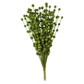 Glittery green berry stems for Christmas floral arrangements and home decor accents - Green