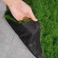 Artificial green moss mat with thick black backing and realistic dense texture for decor - 1m x 1m / Grass Green