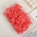 Preserved pink hydrangea petals in a transparent box for DIY floral craft and wedding shoes - 5g / Watermelon red