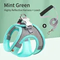 Reflective mint green dog harness and leash set with breathable mesh for small dogs - L / Light Green