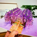 3D greeting card featuring a blooming purple wisteria tree and white garden fence - Wisteria in Bloom