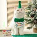Detail of green felt pet birthday hat and white embroidered bib set for dogs and cats - Green Birthday Set