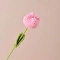 Tulp / Roze