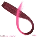 Synthetic hair extension clip in ombre dark red brown to bright pink gradient color - Pink Purple Gradient (58H)