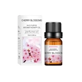10ml Cherry Blossoms aromatherapy oil bottle and packaging for humidifiers - Cherry Blossom